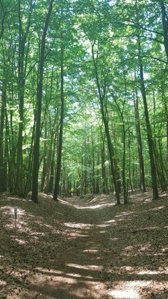 Ostseesternchen Zempin Esterno foto